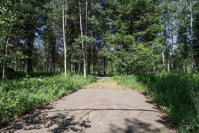 1725 Whitebark Rd, Mccall, ID 83638