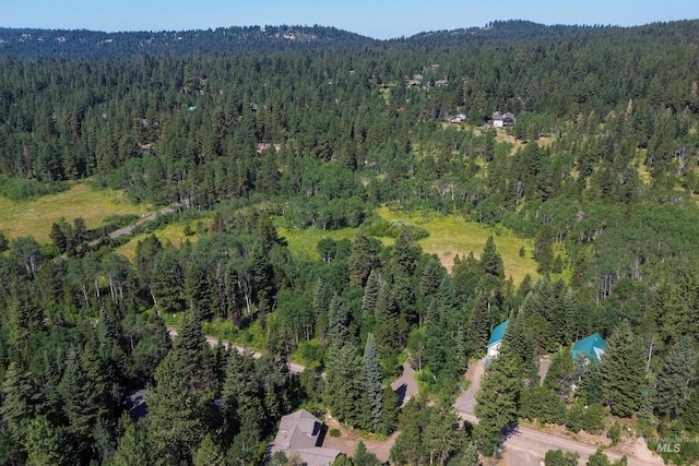 1725 Whitebark Rd, Mccall, ID 83638