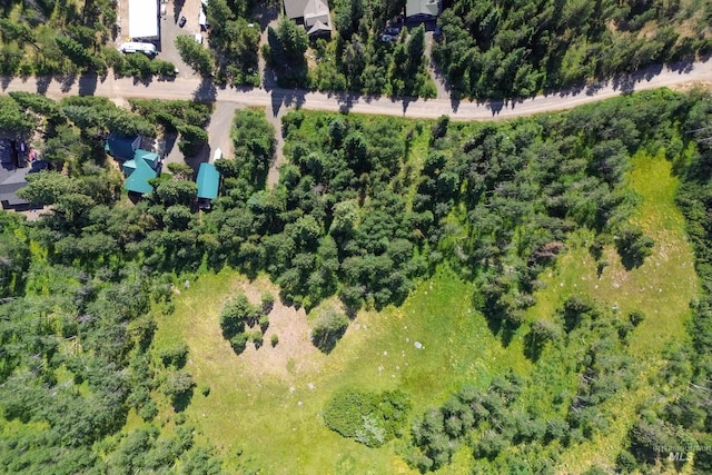 1725 Whitebark Rd, Mccall, ID 83638