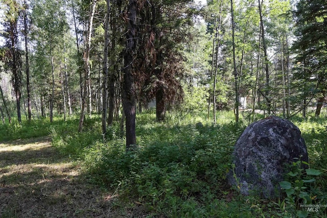 1725 Whitebark Rd, Mccall, ID 83638