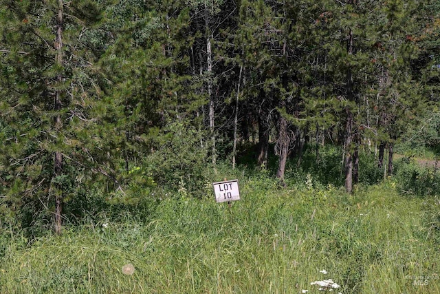 1725 Whitebark Rd, Mccall, ID 83638