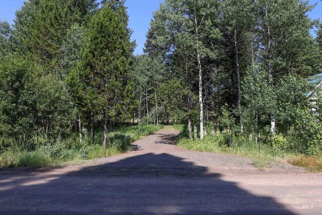 1725 Whitebark Rd, Mccall, ID 83638