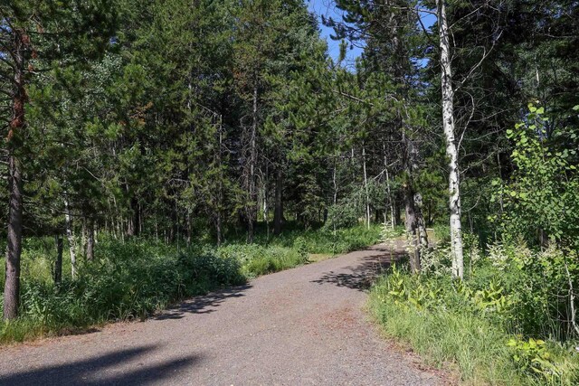 1725 Whitebark Rd, Mccall, ID 83638