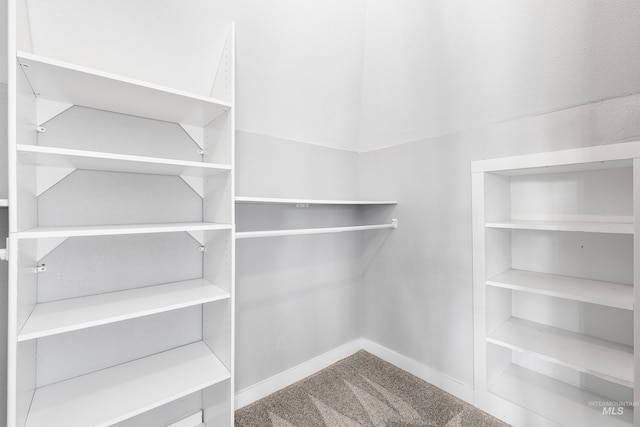 1936 S Leadville, Boise, ID 83706 - walk in closet featuring carpet floors