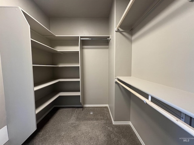 1786 E Cave Falls St, Kuna, ID 83634 - walk in closet featuring dark carpet