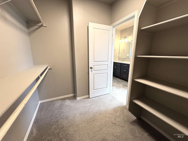 1786 E Cave Falls St, Kuna, ID 83634 - walk in closet with light carpet and a sink