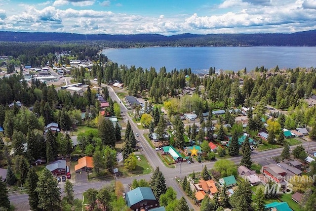 1102 Davis, Mccall, ID 83638 - aerial view of a heavily wooded area and a large body of water