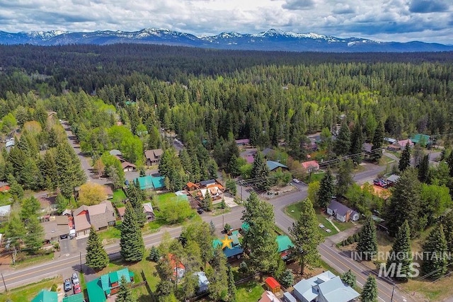 1102 Davis, Mccall, ID 83638 - aerial view of a forest and a mountainous background