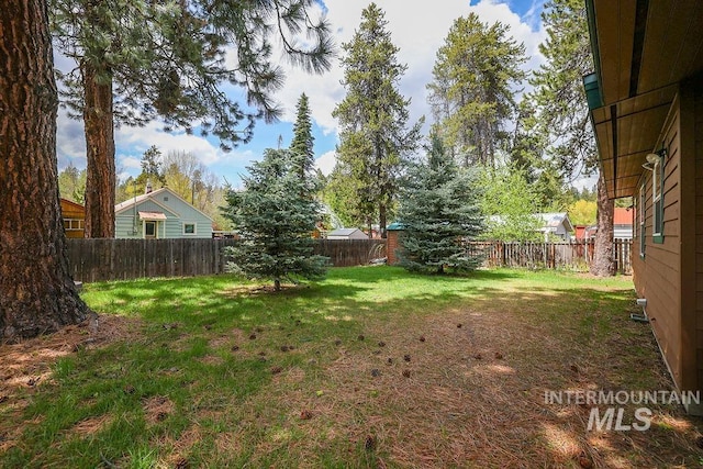 1102 Davis, Mccall, ID 83638 - view of yard
