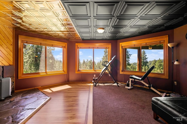 workout room featuring radiator heating unit