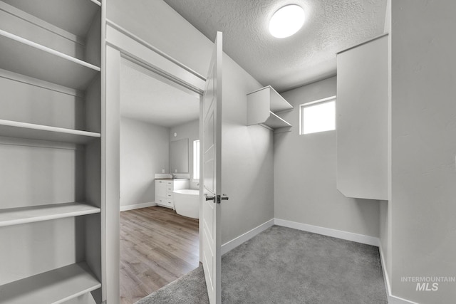 spacious closet featuring light carpet