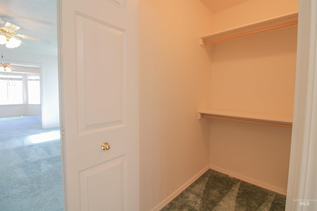636 N Sterling St, Nampa, ID 83651 - spacious closet with dark carpet and a ceiling fan
