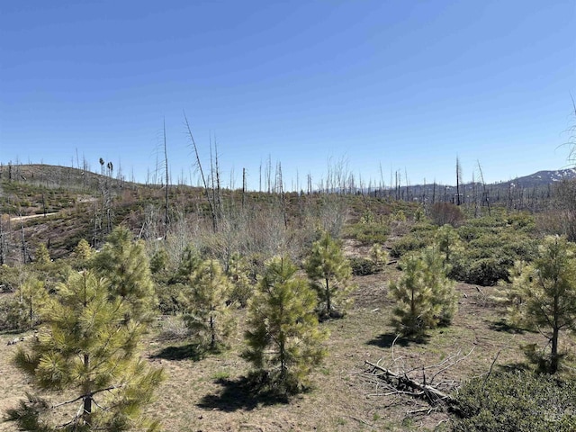 TBD Lester Creek Rd, Mountain Home, ID 83647