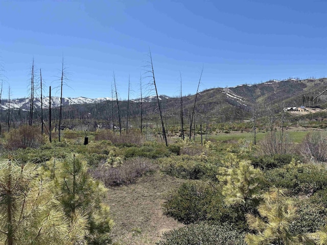 TBD Lester Creek Rd, Mountain Home, ID 83647