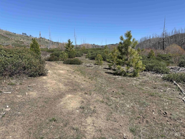 TBD Lester Creek Rd, Mountain Home, ID 83647