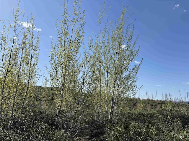 TBD Lester Creek Rd, Mountain Home, ID 83647