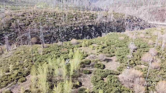 TBD Lester Creek Rd, Mountain Home, ID 83647