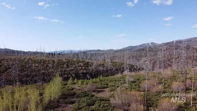 TBD Lester Creek Rd, Mountain Home, ID 83647