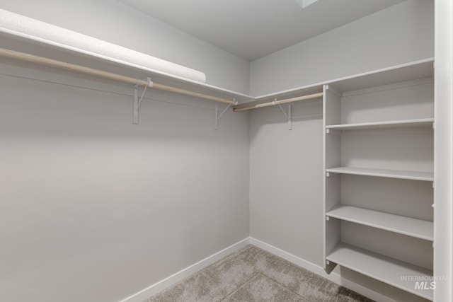 walk in closet with carpet floors