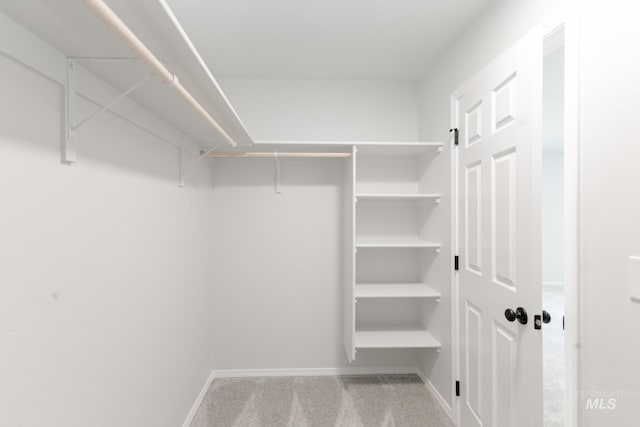 spacious closet with attic access and carpet flooring