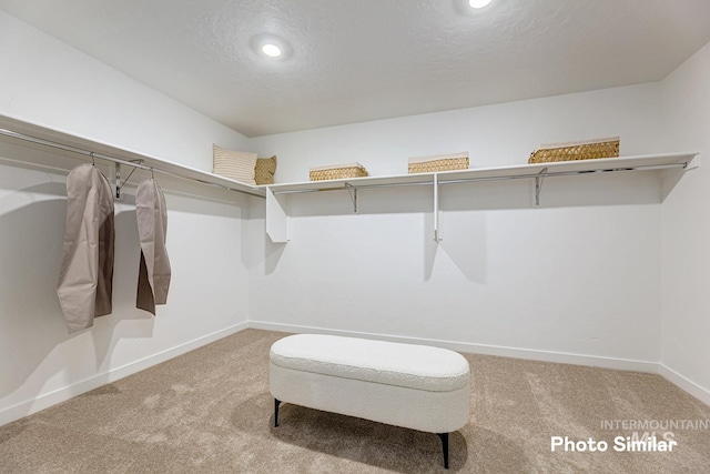 walk in closet featuring carpet floors