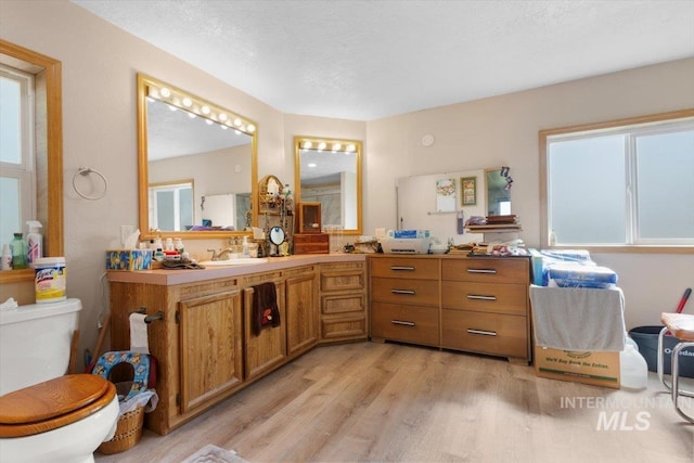 bathroom featuring toilet, wood finished floors, vanity, and a healthy amount of sunlight