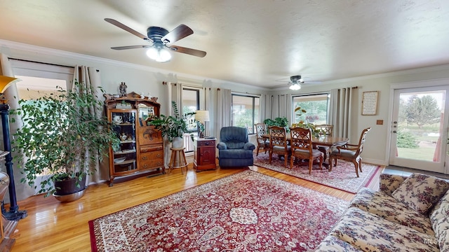 living room featuring ornamental molding, plenty of natural light, and wood finished floors