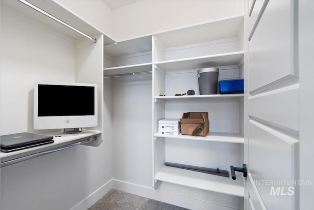 walk in closet featuring carpet flooring