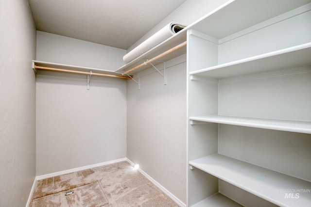 spacious closet with light carpet