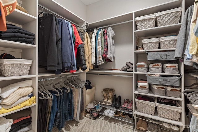 walk in closet featuring carpet flooring