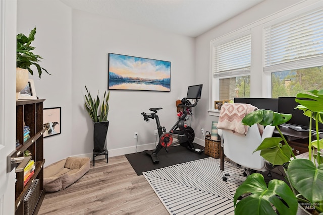 workout area with light hardwood / wood-style flooring