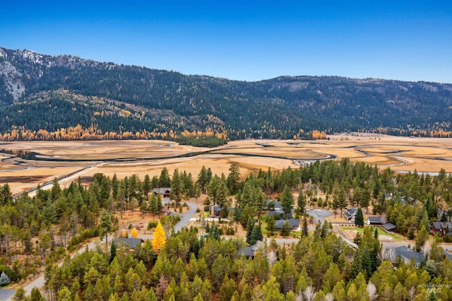 birds eye view of property featuring a mountain view