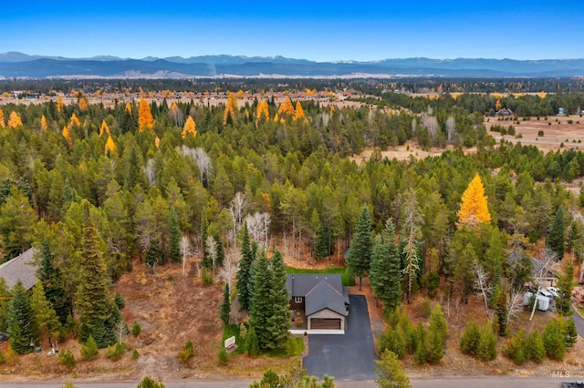 birds eye view of property featuring a mountain view