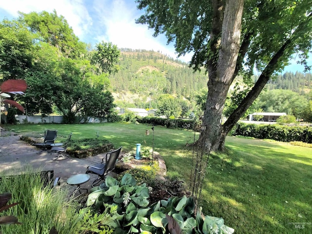 27406 Gem Ln, Juliaetta, ID 83535 - view of grassy yard with a wooded view