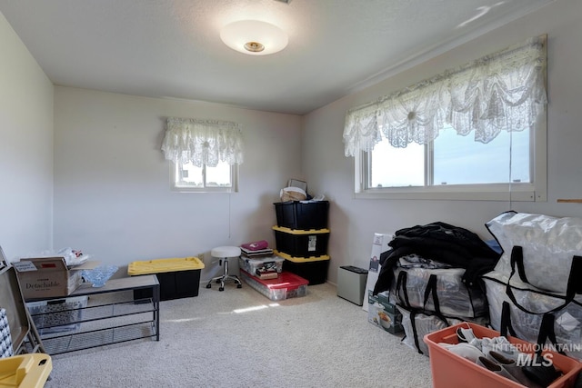 11360 W Lake Hazel Rd, Boise, ID 83709 - carpeted bedroom with multiple windows