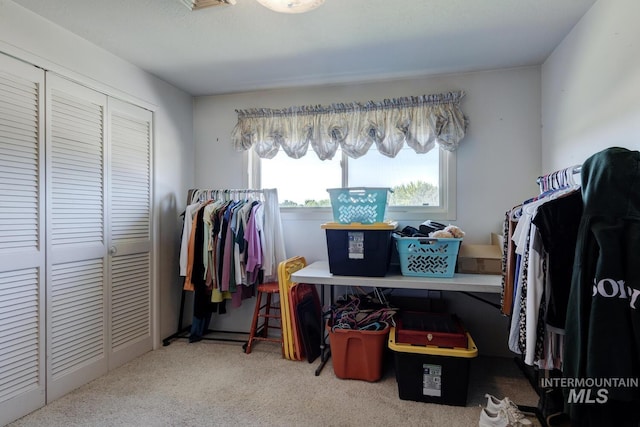 11360 W Lake Hazel Rd, Boise, ID 83709 - walk in closet featuring carpet flooring