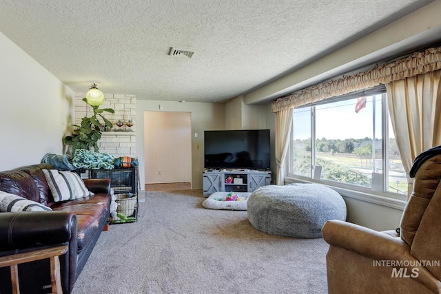 11360 W Lake Hazel Rd, Boise, ID 83709 - carpeted living room featuring a textured ceiling