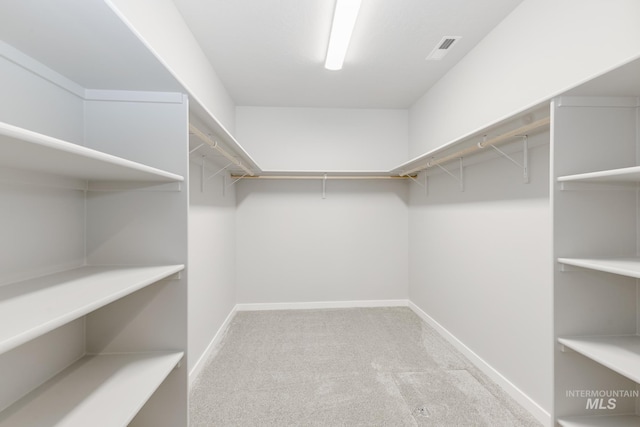 spacious closet featuring carpet