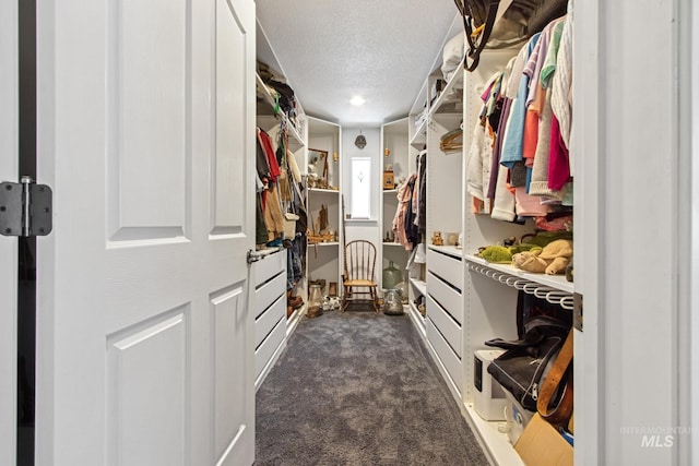 spacious closet featuring dark colored carpet