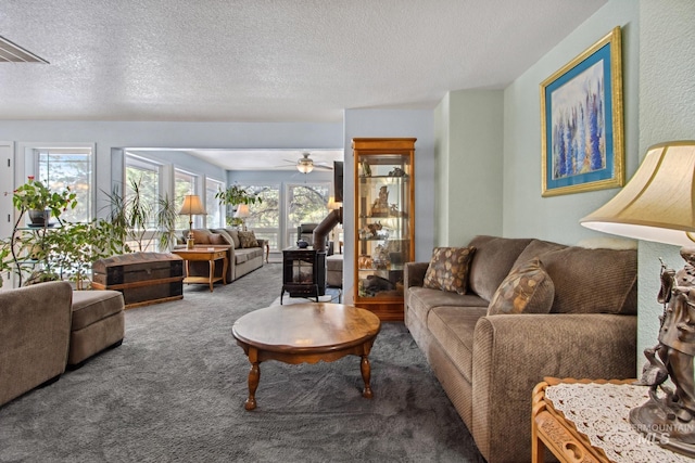 living area featuring a textured ceiling, visible vents, carpet, and a wood stove