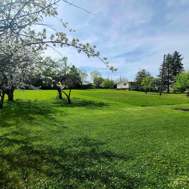 1120 N State St, Grangeville, ID 83530 - view of grassy yard