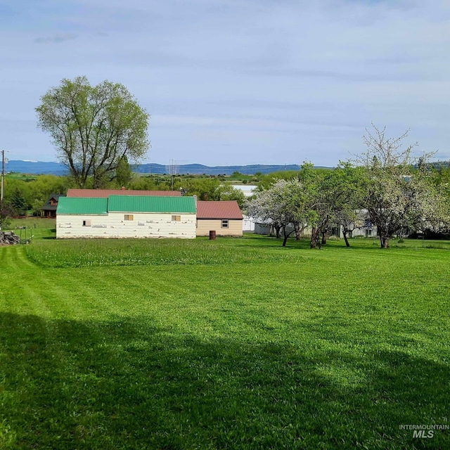 view of yard featuring a rural view