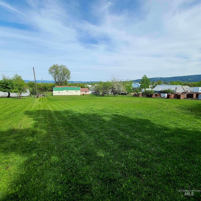 view of yard