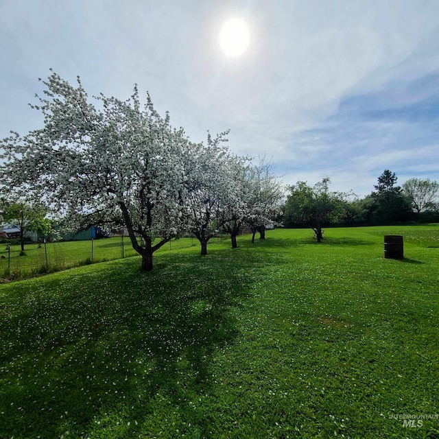 1120 N State St, Grangeville, ID 83530 - view of green lawn
