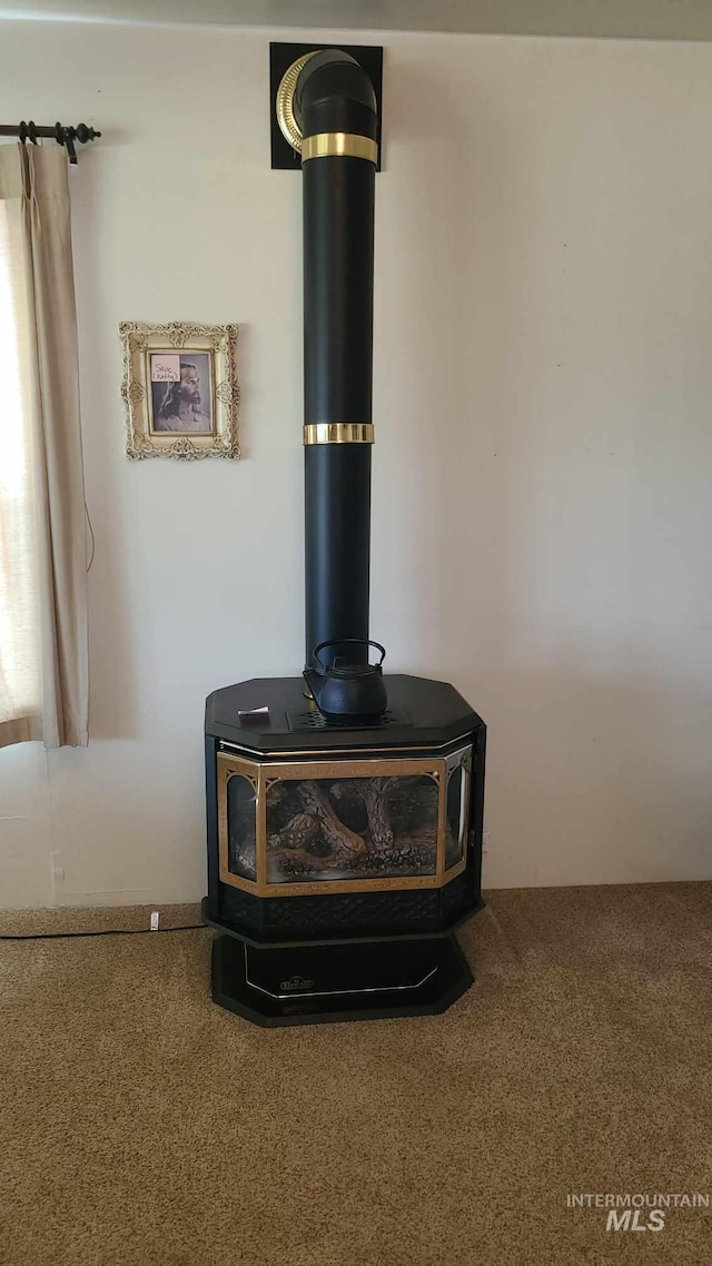 room details with a wood stove and carpet