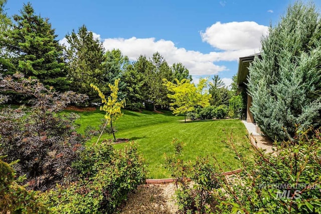 1833 N Monterossa, Eagle, ID 83616 - view of green lawn