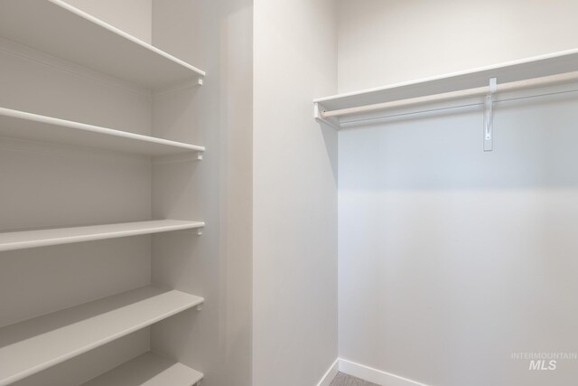 2804 N Eagle Meadow Ave, Kuna, ID 83634 - spacious closet with carpet