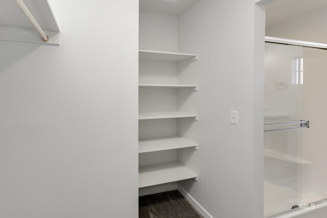 2804 N Eagle Meadow Ave, Kuna, ID 83634 - spacious closet featuring carpet floors