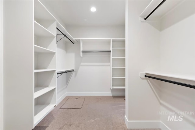 819 Cedar Point Way, Nampa, ID 83686 - walk in closet featuring carpet floors