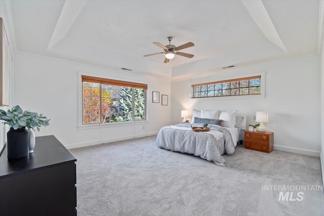 bedroom featuring multiple windows and a tray ceiling